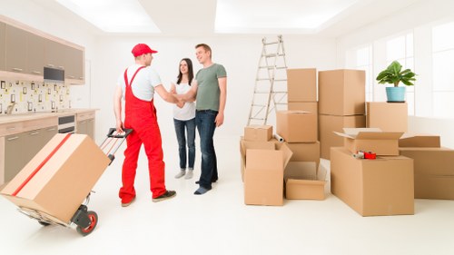 Local removals crew carrying household items with care