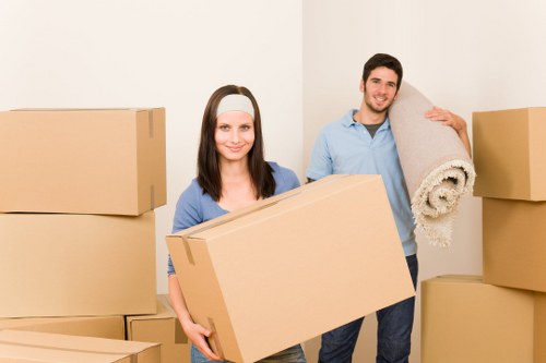 Professional man and van team using PPE and secure loading methods