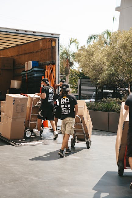 Two men engaged in a house removal process inside a storage or loading area, loading cardboard boxes into a large van. The man on the left, wearing a gray knit beanie, black gloves, and a quilted vest over a blue long-sleeve shirt, is lifting a medium-sized cardboard box. The man on the right, dressed in a beige and black work jacket, black gloves, and a red cap, is holding a smaller cardboard box and standing on the pavement just outside the van’s open rear doors. In the background, there are stacked large cardboard bundles wrapped with plastic, indicating packing materials, on a concrete surface, with some wooden pallets nearby. The scene is lit by natural daylight, suggesting a daytime moving or packing operation, typical of home relocation activities handled by Colliers Wood Man and Van as part of their removal services, including packing and furniture transport.